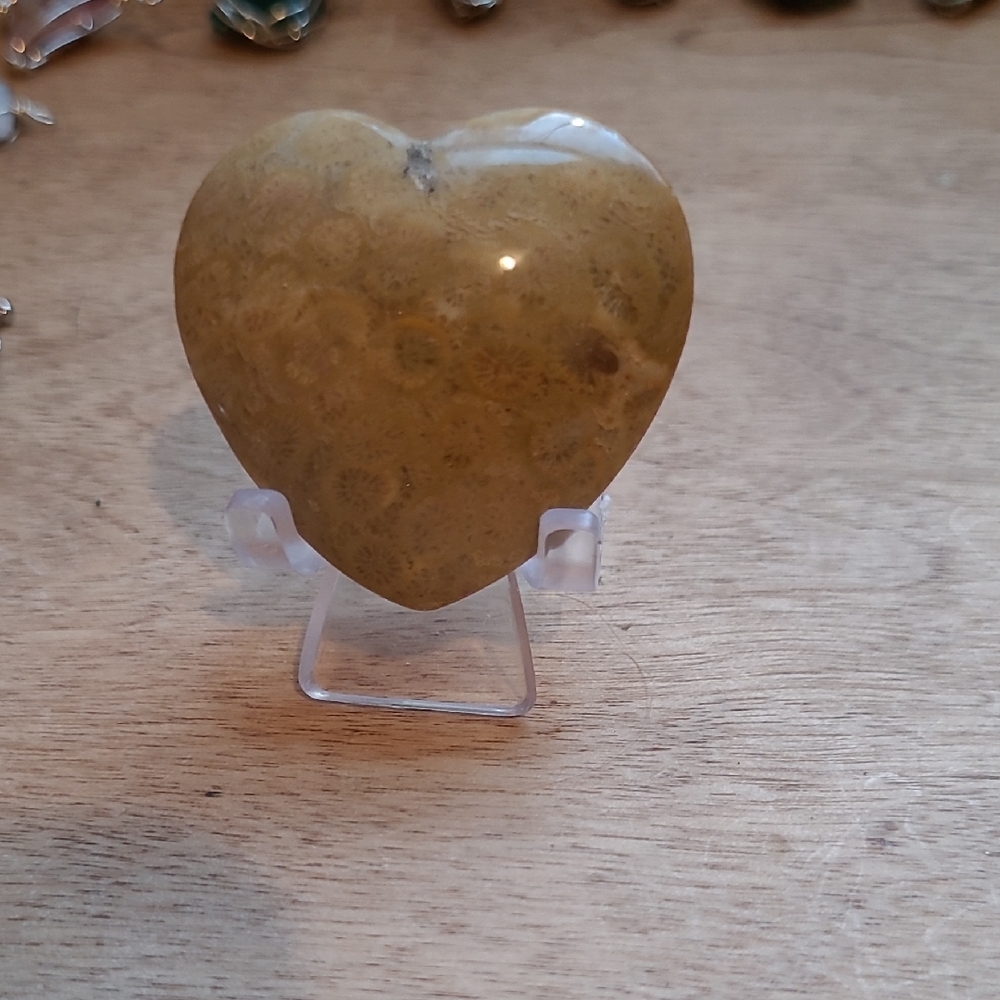 Heart-Shaped Fossil Stone Decor